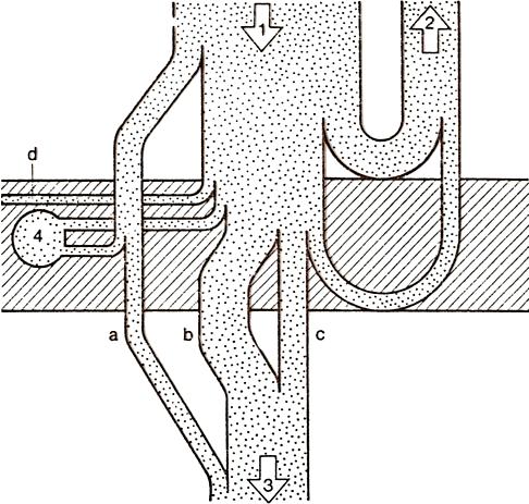 a hangforrás energiaforrás Hangterjedés zárt térben a kibocsátott hangenergia (1): részben visszaverődik (2) részben átjut a falon (3) kerülőutakon terjed (a,b,c,d) elnyelődik (4) egyensúlyi helyzet