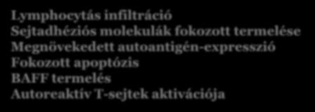 Effektor T-sejt cytotoxicitás Genetikai háttér Vírusok