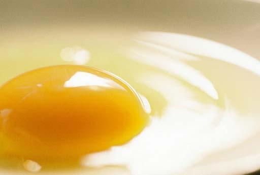 Tojás A legtöbb élesztős tésztához nem egész tojást, hanem csak a tojás sárgáját használjuk fel. Itt meg kel említenünk, hogy a tojás szó hallatán mindig csak a tyúktojásra gondolunk.