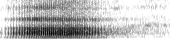 42 Bartók Márton a) b) 5000 5000 Frekvencia (Hz) 4000 3000 2000 1000 Frekvencia (Hz) 4000 3000 2000 1000 0 M 0 M L 0 Idő (ms)