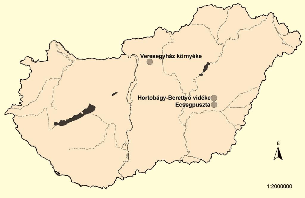 116 NAGY A., PENKSZA K. Anyag és módszer Az élõhely-felméréseket Veresegyház környéki és két dél-tiszántúli (Hortobágy- Berettyó vidéke, Ecsegpuszta) területen, 5x5 km-es kvadrátban végeztük.