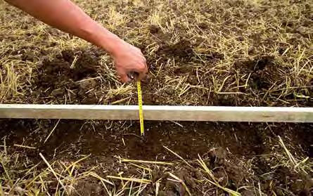 A körülhatárolt terület kiválasztására véletlenszerűen kerül sor. A Fenix talajlazító a visszamaradt növényi részekkel kiváló, átlagosan 18,7 %-os lefedést biztosít.