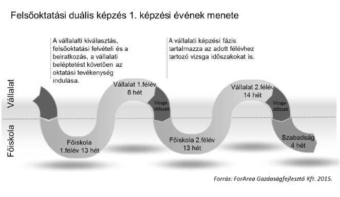 III.2.4. Duális Képzés folyamata a felsőoktatási intézményben III.2.5.