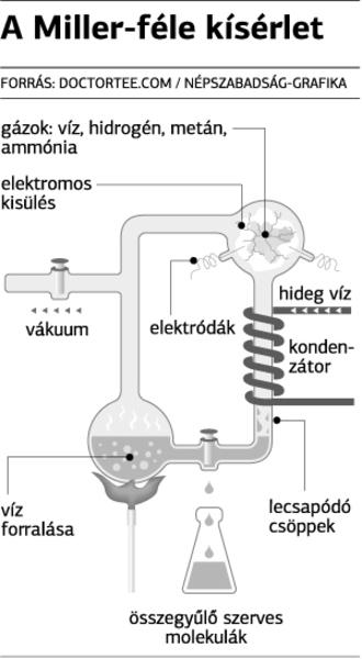 1. Štúdium prípadu Pozorne prečítajte nasledujúci text a odpovedzte na otázky!