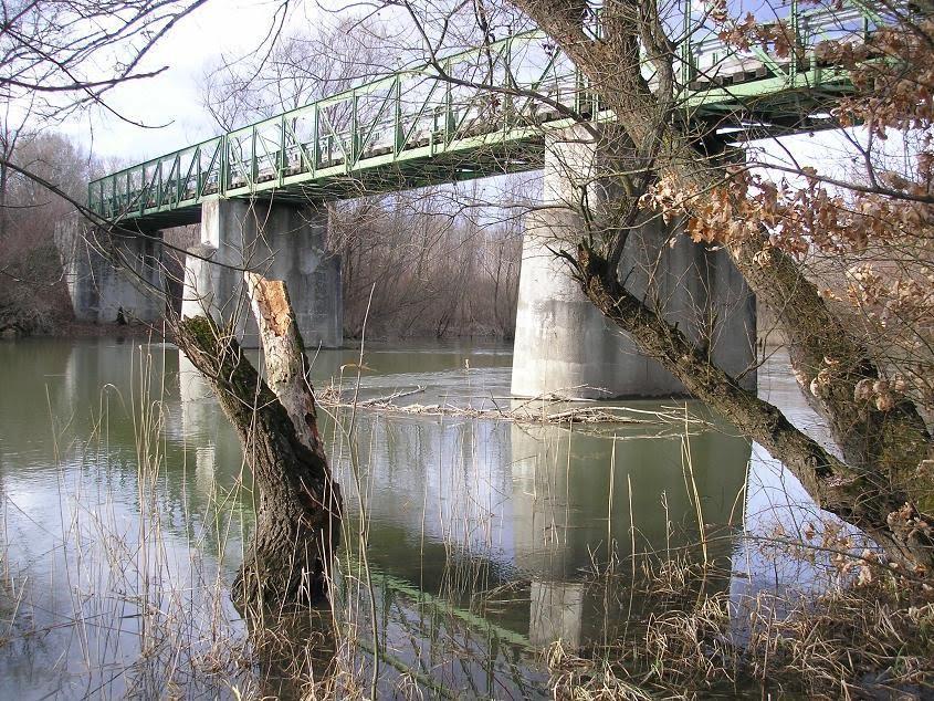 1960-as években még üzemelt az alsó-szigetközi kisvasút, amely Dunaszeg- Gyulamajorból szállította a Bolgányi hídon át a cukorrépát