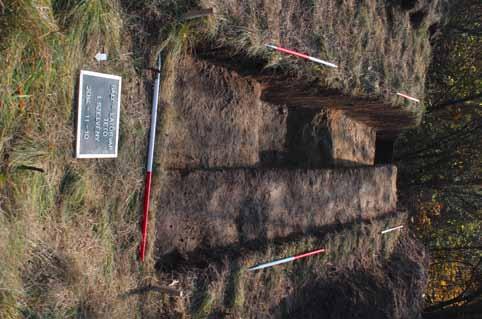 A fémkereső műszeres kutatások alkalmával a lelőhely területén további, az ásatás során nem igazolt korszakok (kelta kor, 15 16. század) leleteit is megtaláltuk.