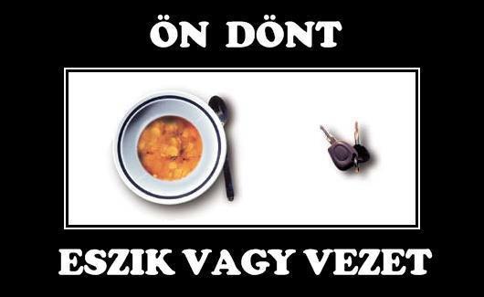 Mgyr Cochszemle 2.