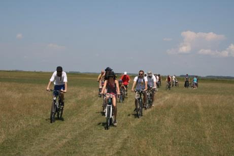 augusztus 12. augusztus 26. augusztus 29. Ős-Dráva Látogatóközpont Duna-Dráva Nemzeti Park Igazgatóság A medvehagyma nem csak az május 06.