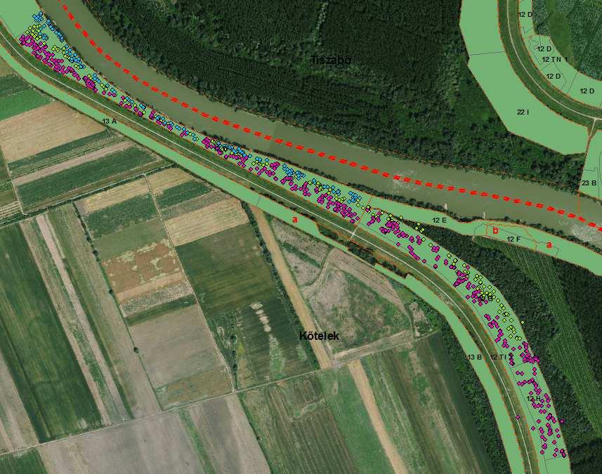 Őshonos fafajok Kőtelek 12D (7,18 ha), 12G (5,83 ha), 12H (1,54 ha) Fafaj Meglévő (db)