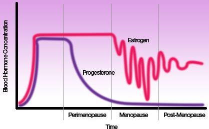 MENOPAUZA