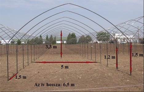 Fóliasátor általában egyhajós elrendezésű, 4,5-9 m széles, 2-4 m magas, a szellőztetési módtól függő hosszúságú, bordatáv 1,2-1,5 m van kis- és nagylégterű változata is kétvázas, kettős takarású