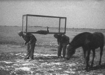 Rövid tartalom: A Tisza folyót átszelô egyik hídnak hosszú története van. Ez a híd köti össze Sighet-t és Slatinát.