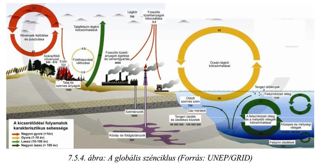 Globális szénciklus CO 2 kibocsájtás a világban Az antropogén szén-dioxid-kibocsátás nagy része az