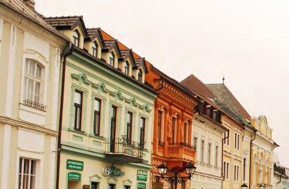 cirkevné objekty, iné verejné objekty vzdelávacia cirkevné školy obchodná priestory námestia, konanie výročných trhov a jarmokov výrobná drobná remeselná výroba, v dvorových častiach zástavby