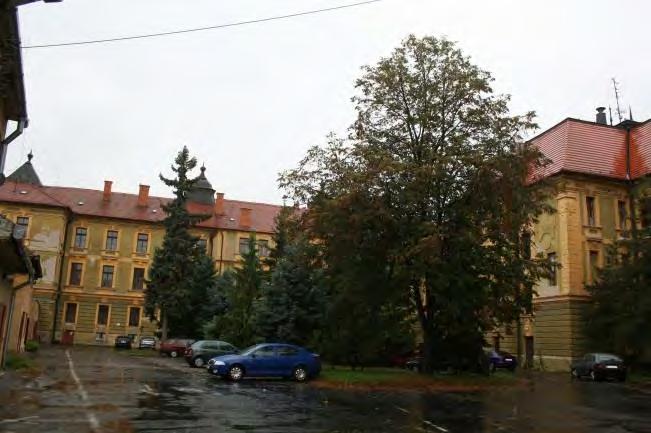 27 Nádvorie župného domu, zeleň