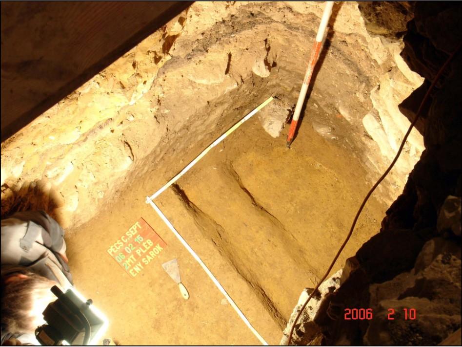 cella septichorához