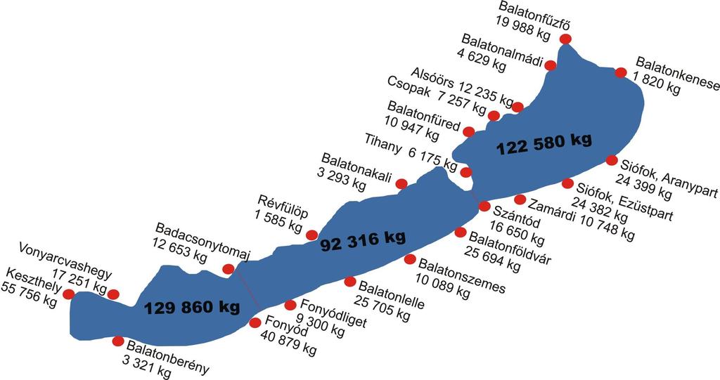 1. Legyen mit fogni A balatoni