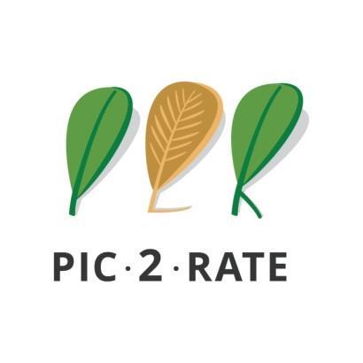 Pic2rate program - WEBES analízis: A rendszer célja: 1. Hogy egzakt mérési eredmények legyenek. 2. A manuális mérések nem eléggé pontosak. 3. Biztosítja a táv- vagy csoportmunka lehetőségét. 4.