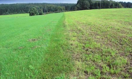 Hozamfokozás a GreenMasterrel A GreenMasterben található HarroFlex simítós borona az állítható simító egységnek, valamint a két sorban elhelyezett boronáknak köszönhetően rendkívül jól tünteti el az