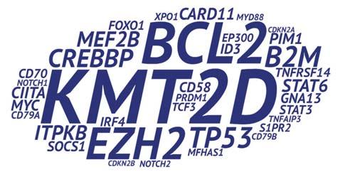 Bödör Cs, Gángó A, Schneider T Diffúz nagy B-sejtes lymphoma: úton a személyre szabott terápia felé 37 2. ábra.