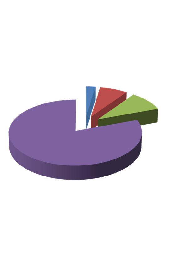 Boka/Kar Index (BKI) 2% 7% 10% Nem mérhető <0,9 Arteria Tibialis