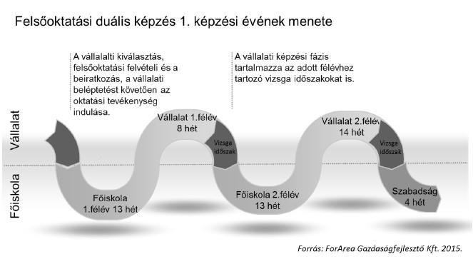 A Duális Képzés folyamatai III.2.4. Duális Képzés folyamata a felsőoktatási intézményben III.2.5.