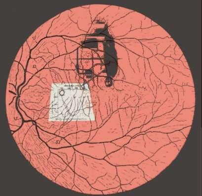 A látvány képe a retinán A hibákkal terhelt képből az agyunk hibátlan, torzításmentes képet