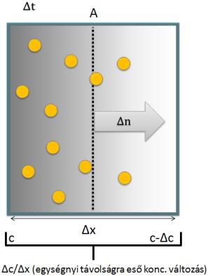 Adott anyagból Δt idő alatt ΔN darab részecske vándorol át a kijelölt (az áramlás irányára merőleges) A felületen keresztül: I N = ΔN 1, mértékegysége az.