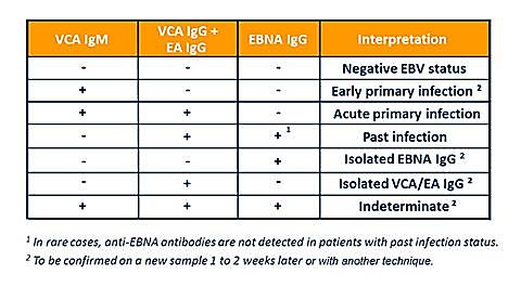 esetén acyclovir vagy gancyclovir terápia javasolt, immunmoduláns terápia leállítandó.