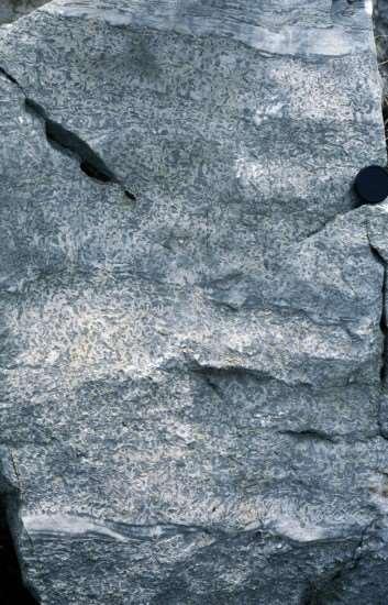 Tisia triász Misinai Formációcsoport mészkő- márga váltakozása Lapisi-mészkő Rák- patak, Sormás- és a Goricaipatak mentén bukkan felszínre pados, vastagpados, szilánkos törésű tömött mészkő