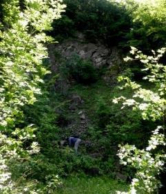 Hosszú-hegy oldalán lévő kőbányában, táblás és gömbhéjas elválásban, valamint a Malom-patak durva hordalékában) - piroxénéntartalmú amfibólandezit (a