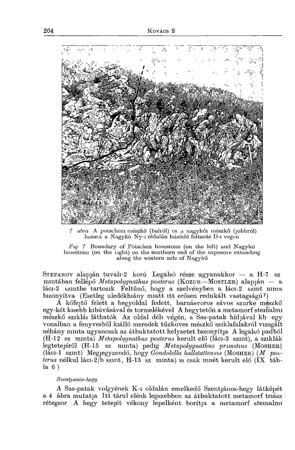7 abra A potschem mészkő (baliól) cs a nagykői mészkő (jobbról) hataia a Nagykő Ny-i oldalán húzódó feltárás D-i végén Fig 7 Boundary of Potschen limestone (on the left) and Nagykő limestone (on the