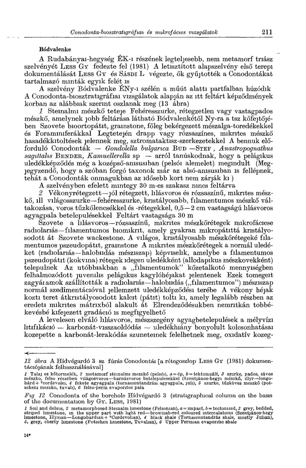 Bódvalenke A Rudabányai-hegység ÉK-i részének legteljesebb, nem metamorf triász szelvényét L ess G y fedezte fel (1981) A letisztított alapszelvény első terepi dokumentálását L ess Gy és Sá sd i L