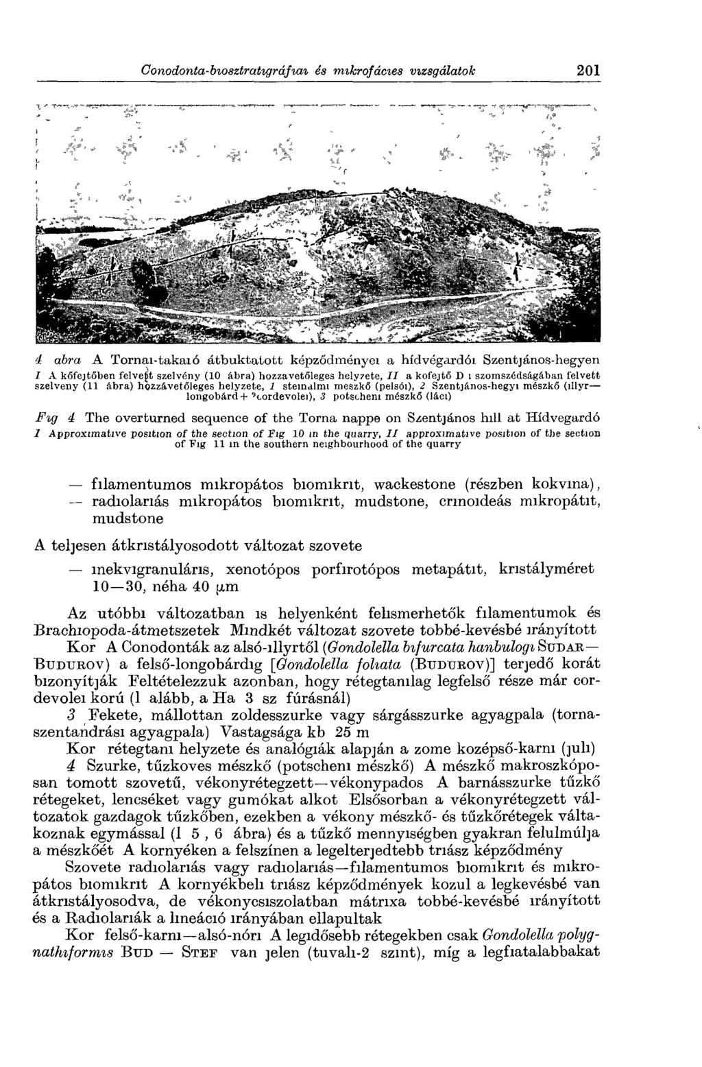 4 abra A Tornai-takaió átbuktatott képződményei a hídvégardói Szentjános-hegyen I A kőfejtőben felvert szelvény (10 ábra) hozzávetőleges helyzete, I I a kőfejtő D i szomszédságában felvett szelvény