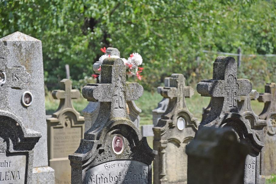 A kedvező kép megőrzése érdekében javasolt a terület átlátható,