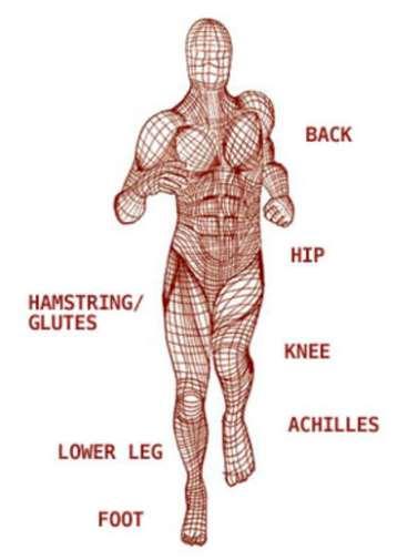 FASCIA FELADATAI- TENZEGRITA S Emberi test: csontok= merev gerendák myofasciális rendszer= rugalmas huzalok.