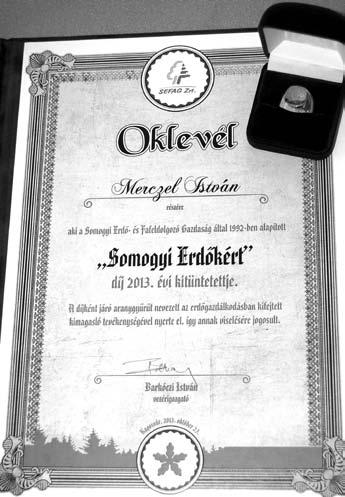 Jelentkeztem a soproni erdészeti szakközépiskolába. A sikeres felvételi után négy tartalmas évet töltöttem el az iskolában.