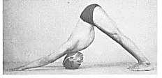 10. Adho Mukha Svanasana Kék: megfeszül Piros: