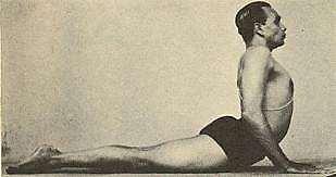 18. Bhujangasana Tövis alatti izom Tricepsz Gerinc merevítők Nagy farizom Combhajlítók Elülső fűrészizom