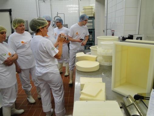 Külföldi tanulmány út sajtkészítőknek A képzés két napon át két csoportba osztva üzemben végzett gyakorlattal