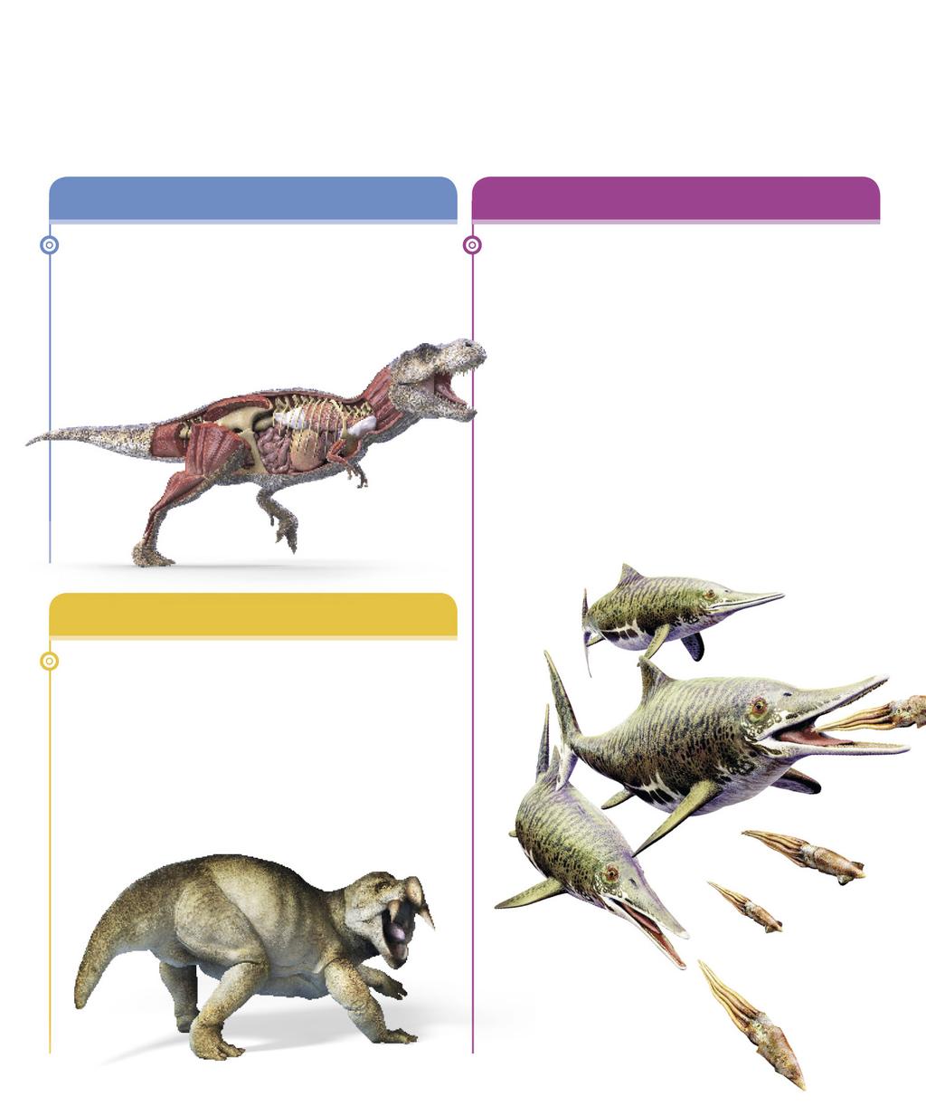 TARTALOM A DINOSZAURUSZOK Élet a Földön 8 Gerinces állatok 10 Mi a dinoszaurusz?