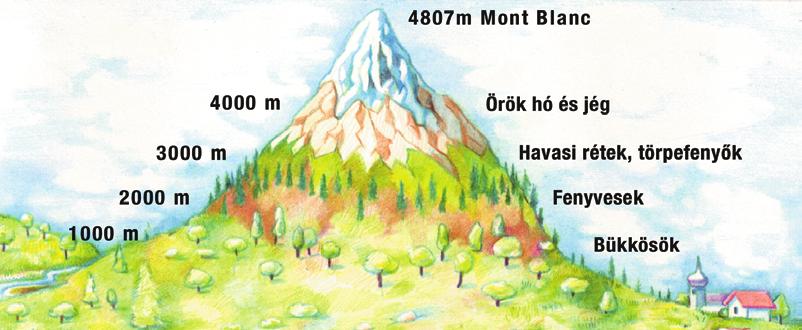 Hazánk nyugati tájegysége, az Alpokalja is a Keleti-Alpok nyúlványa. 1. Vizsgálódjatok Európa térképén, hasznosítsátok a hetedik osztályban tanultakat!