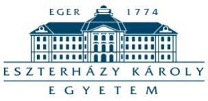 AJÁNLATTÉTELI DOKUMENTÁCIÓ a Pénzügyi nyilvántartó és elszámolási rendszer beszerzése az EFOP-3.1.