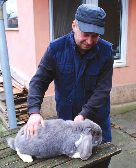 portré Kosorrúak a börzén A regisztrált kisállat-tenyésztők nem a haszonszerzés kedvéért nevelik kedvenceiket, hanem azért, mert örömüket lelik benne.