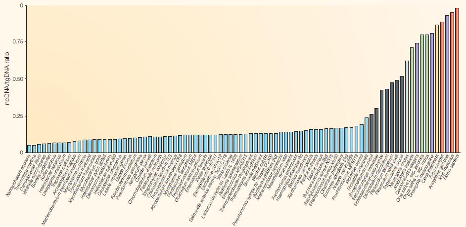 Ratio of non coding (nc) to protein