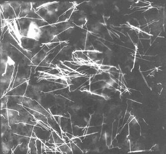R p (k cm 2 ) 10 4 10 3 eltérés a Fick törvényt l mért kloridtartalom polarizációs ellenállás Cl tartalom m%/cement 6,0 4,5 10 2 nincs látható rozsdásodás 3,0 lyukkorrózió acélforgácson 10 1