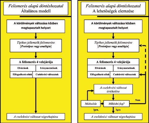 A felismerés alapú döntés általános modellje Klein munkája alapján a felismerés alapú döntés lényege az, hogy a döntéshozó a korábbi tapasztalatai révén több, különböző megoldási sémával rendelkezik