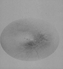 CT MR Gasztroszkóp Ultrahang Röntgen Fogászati