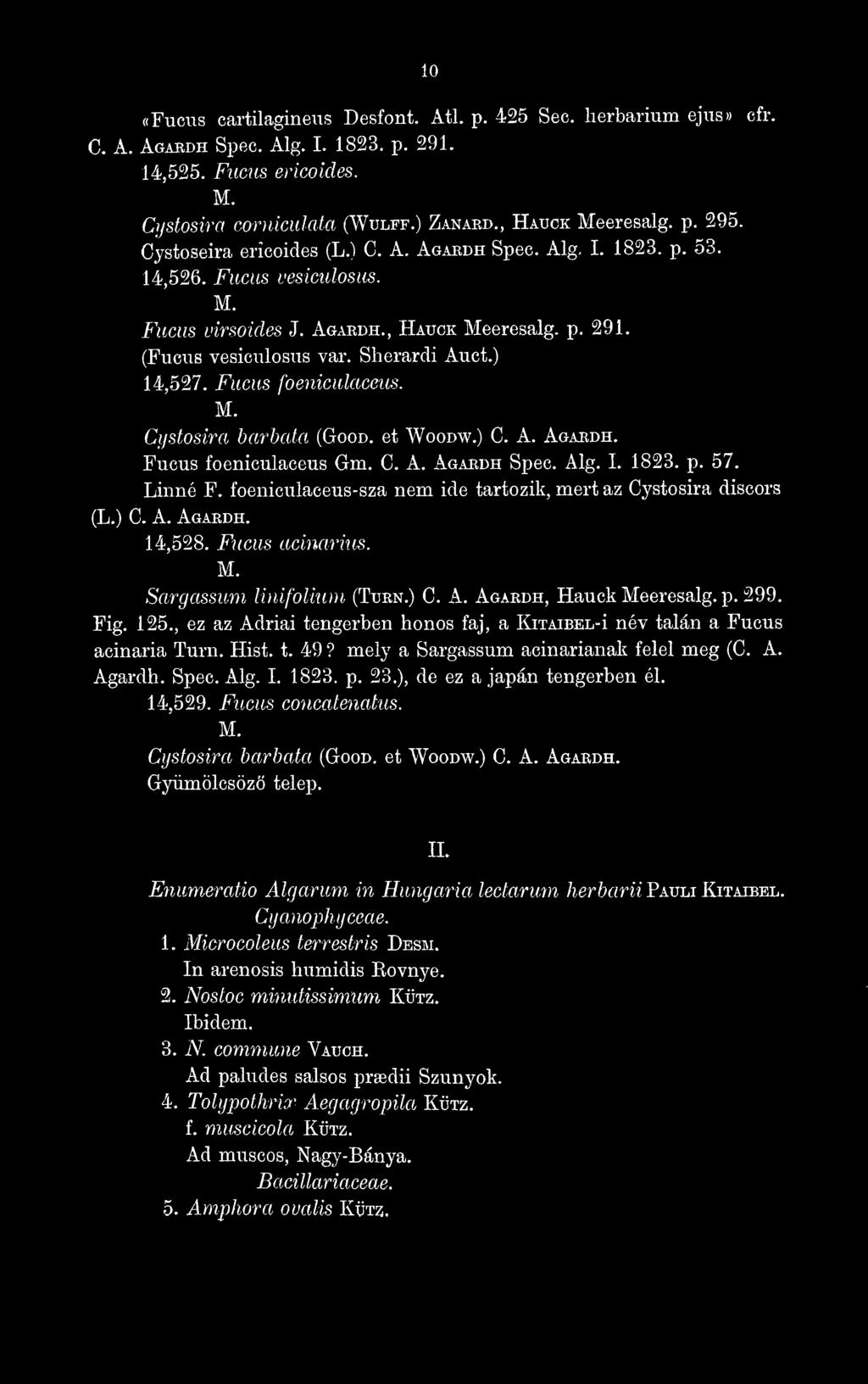 Fucus foeniculaceus. M. Cystosira barbata (Good, et Woodw.) C. A. Agaedh. Fucus foeniculaceus Gm. C. A. Agaedh Spec. Alg. I. 1823. p. 57. Linné F.
