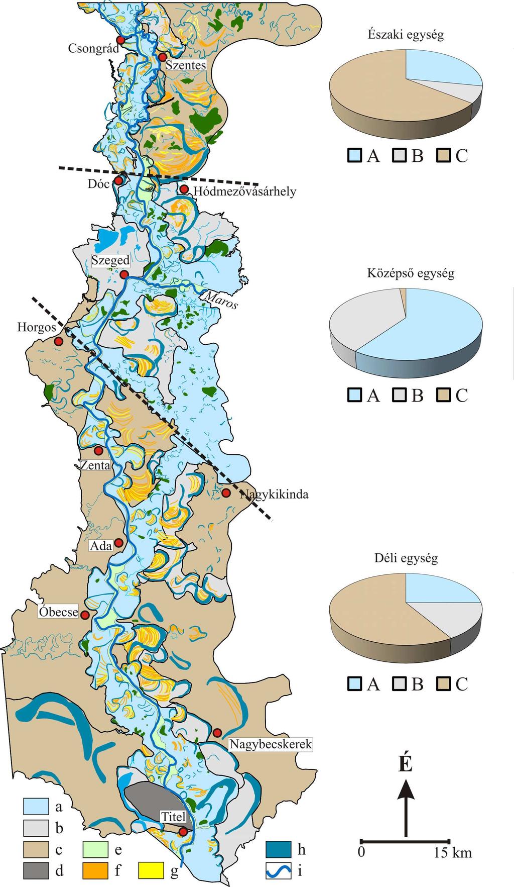 5.3. ábra: A kutatási terület geomorfológiai térképe az elkülönített morfológiai egységek határaival, valamint az ártéri szintek egységenkénti terület arányával.